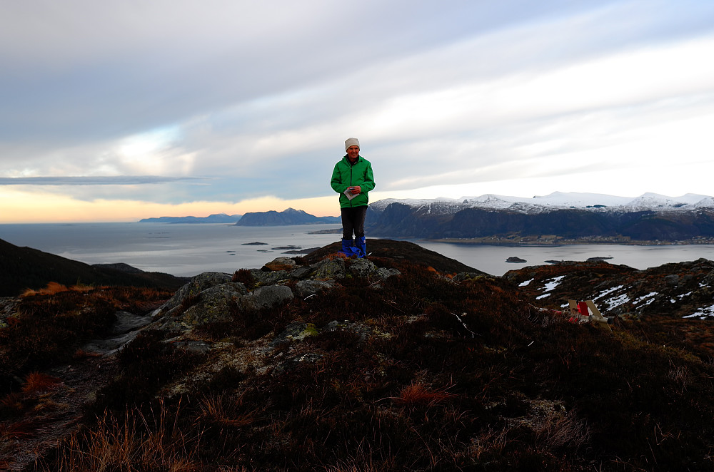 Leinebjørnen