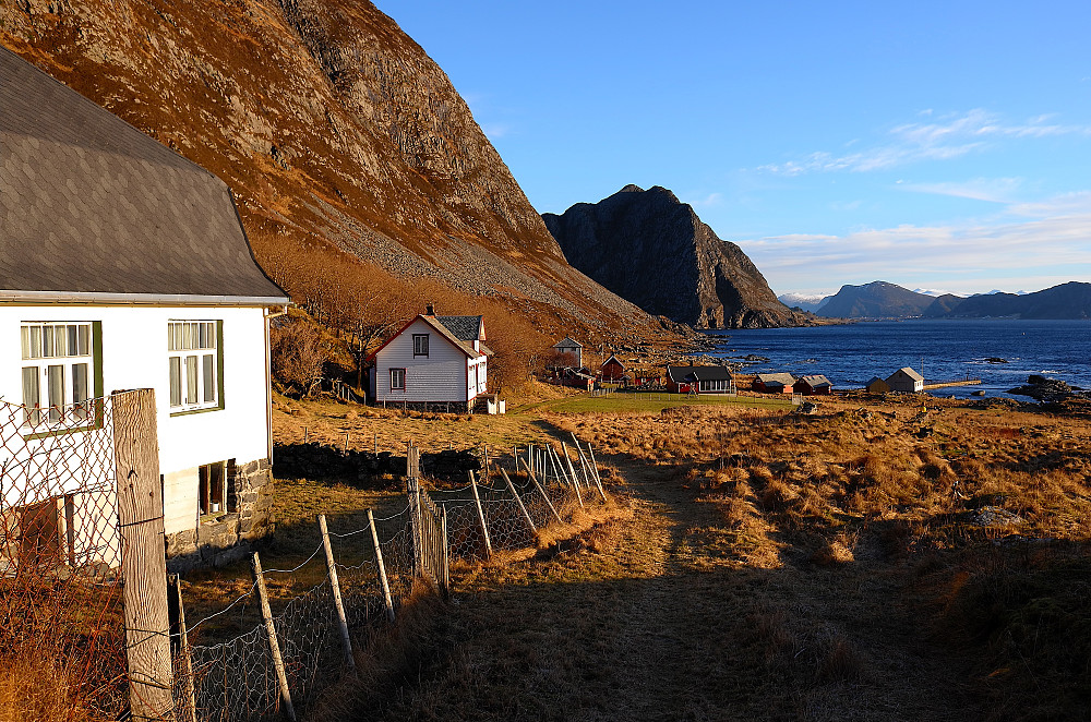 Skorpen