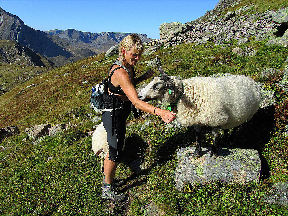 Salt smaker i varmen