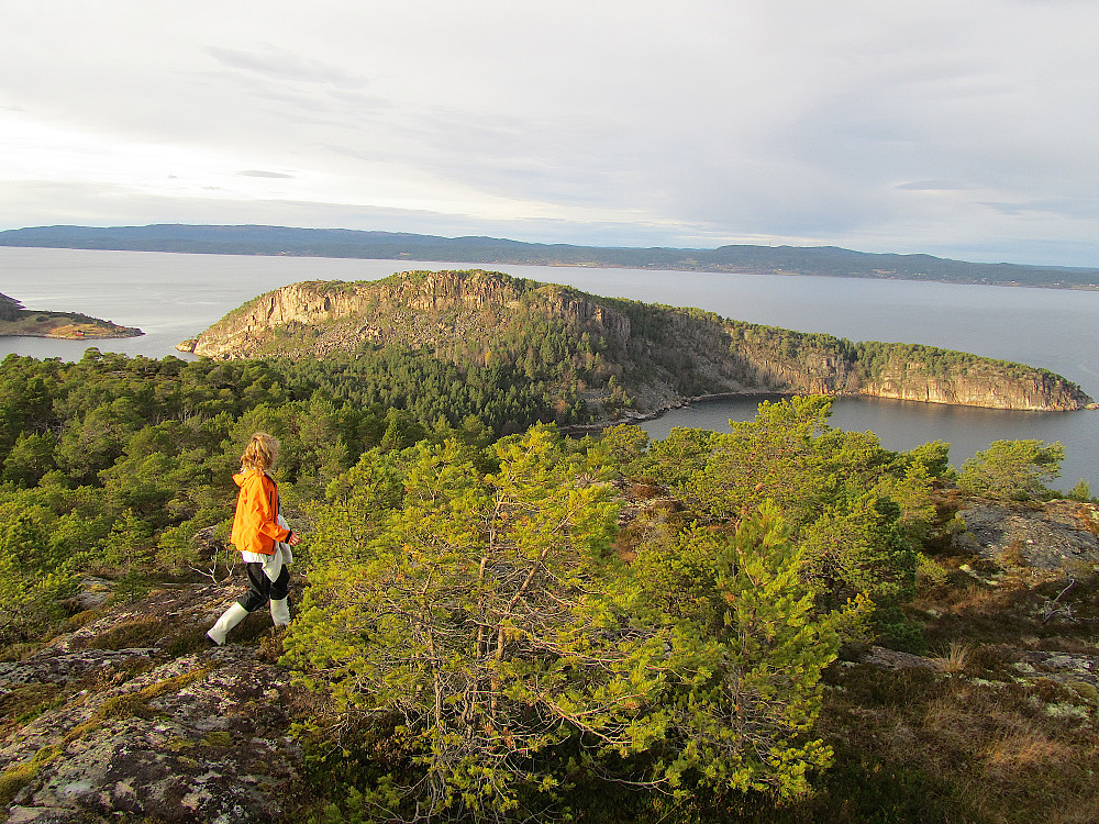 Utsikt mot Ytterøya