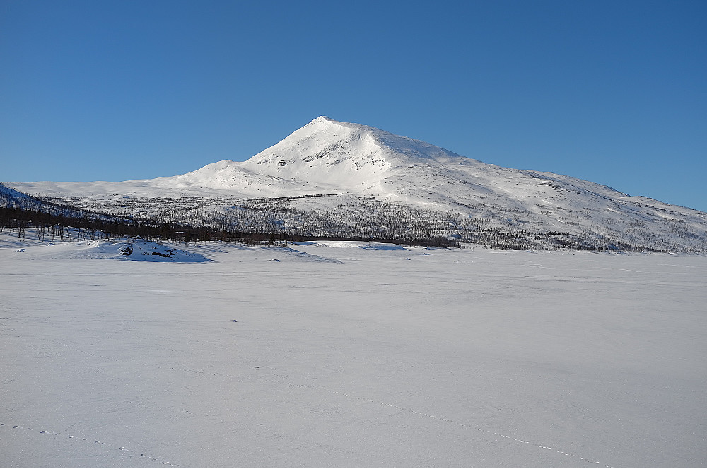 Hjartfjelltinden