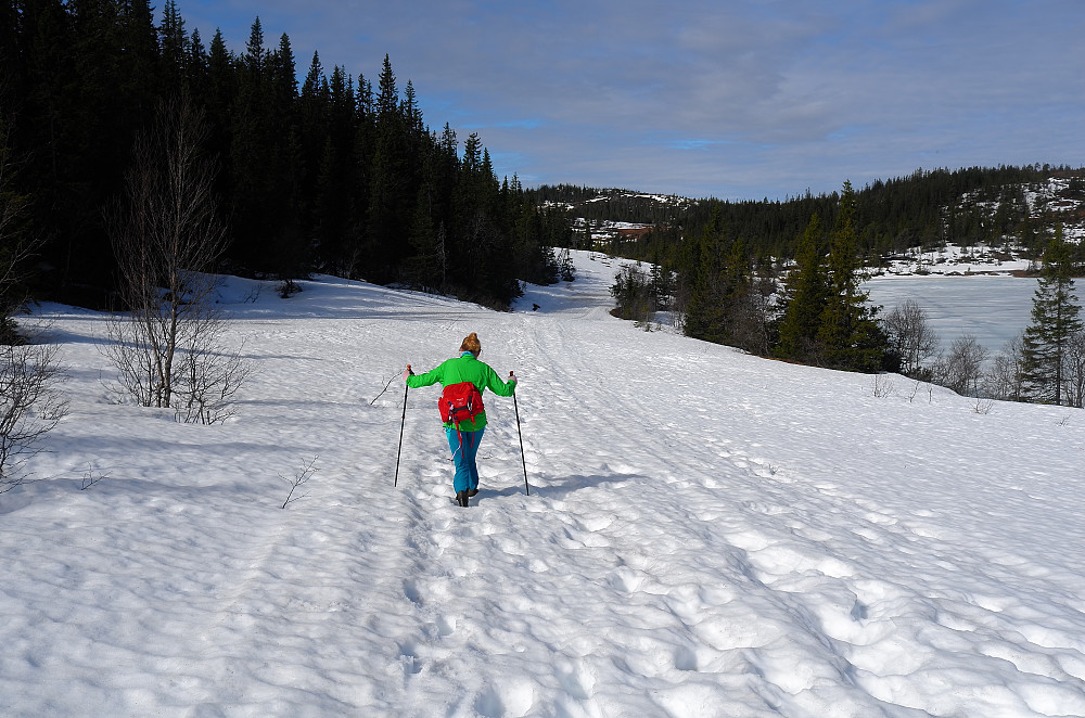 Kuttet ruta ved Vintervatnet, som ble til det verre