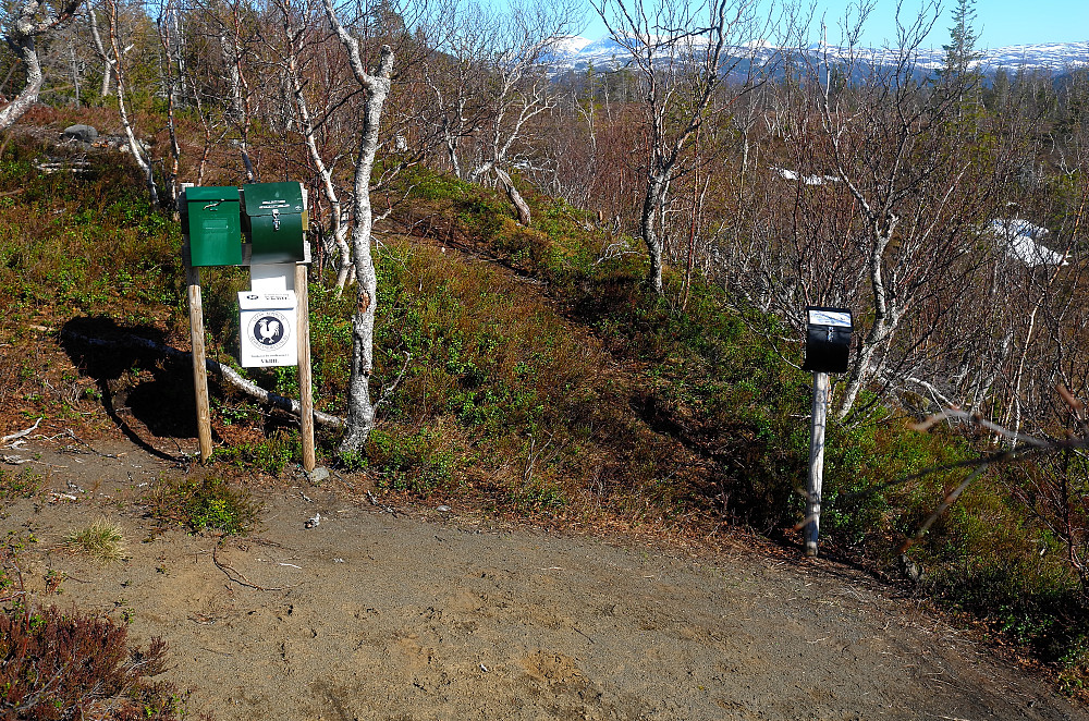 Hjartåsen trimpost