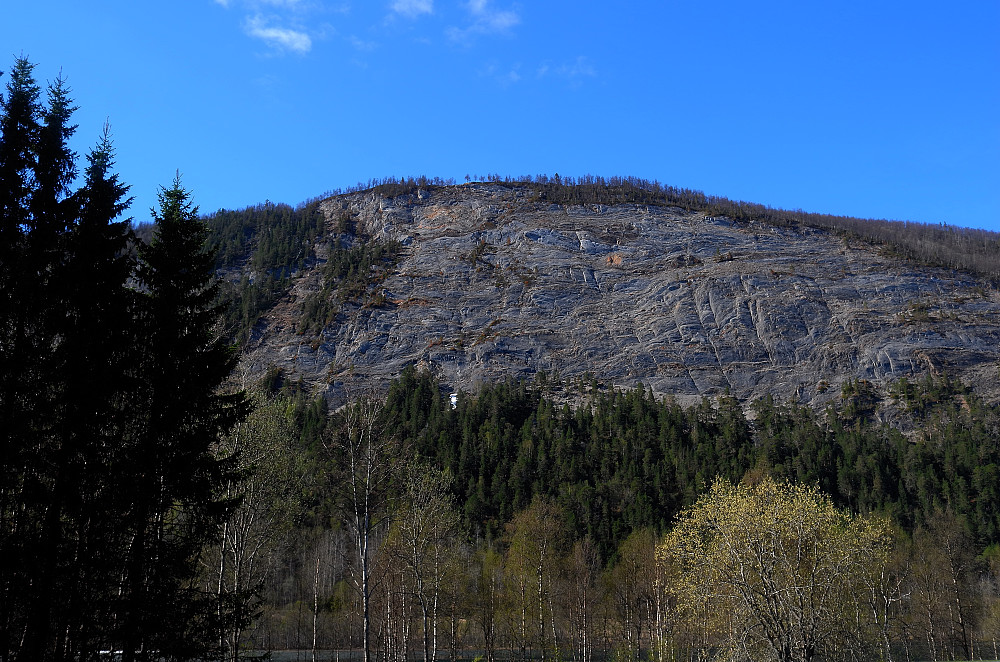 Storflåget