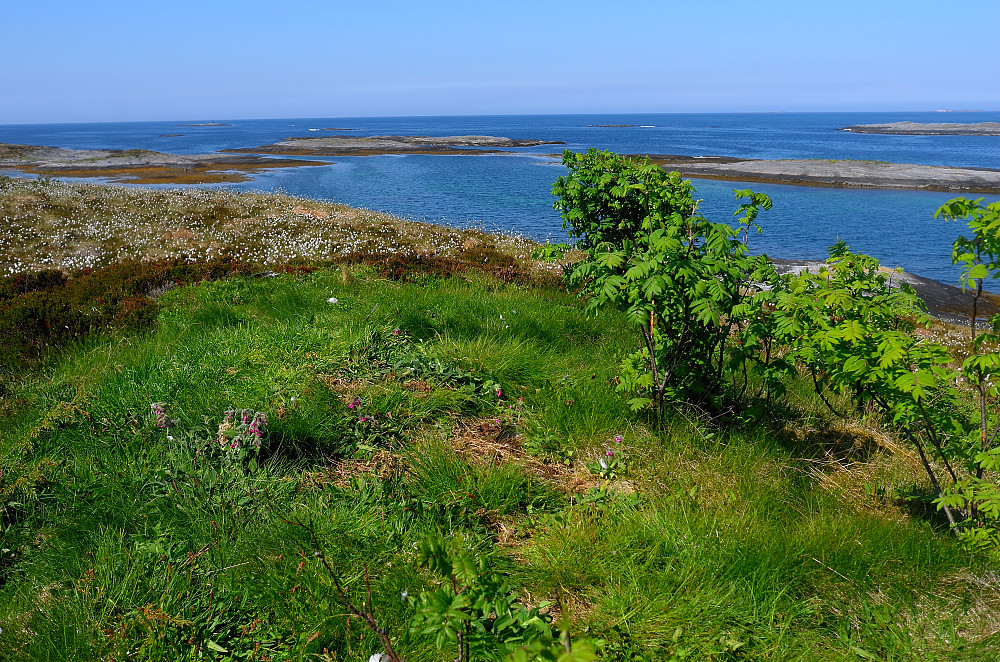 Kalvøya