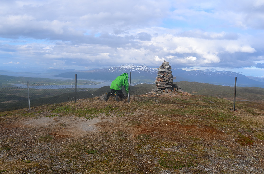 Tare på hue i netting-gjerdet..