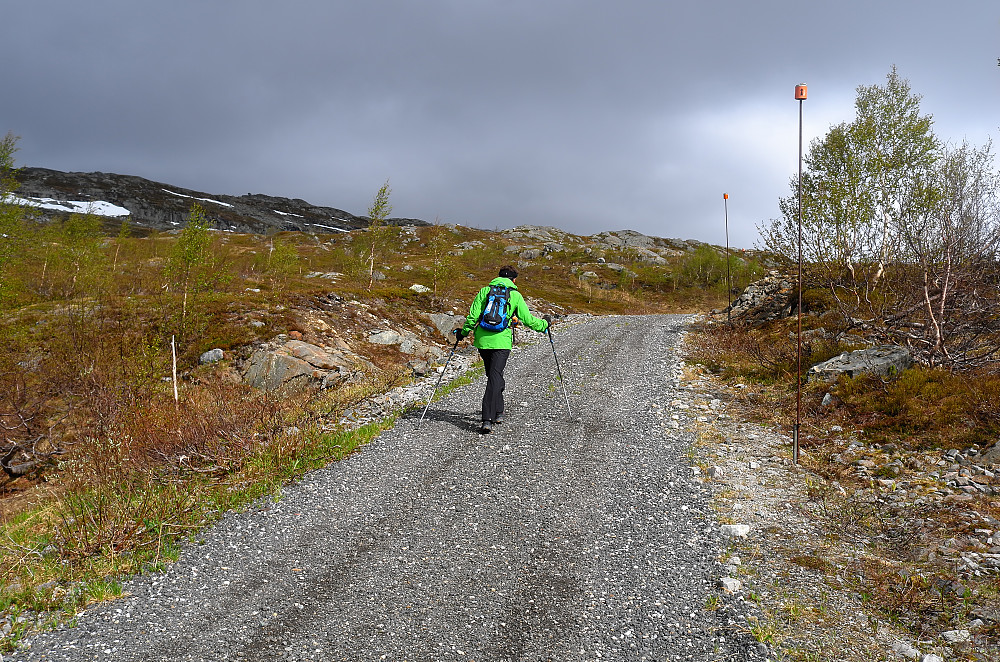 Solgløtt