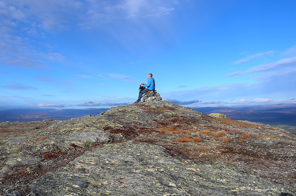 Gråhøgda
