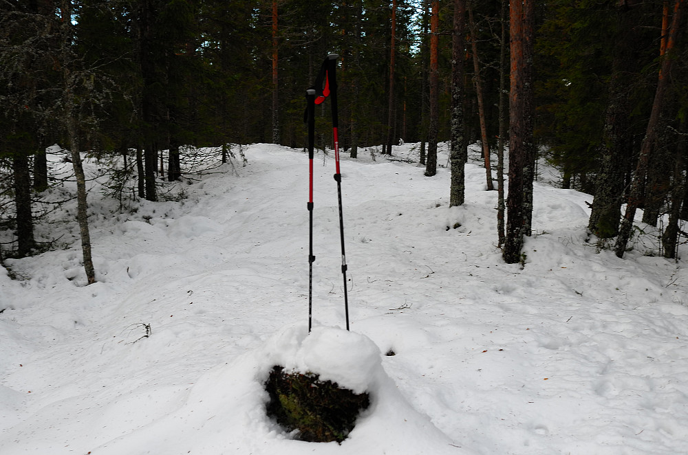 Høyest på Marikollen
