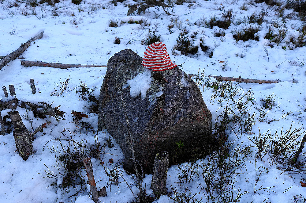 Reisenberget