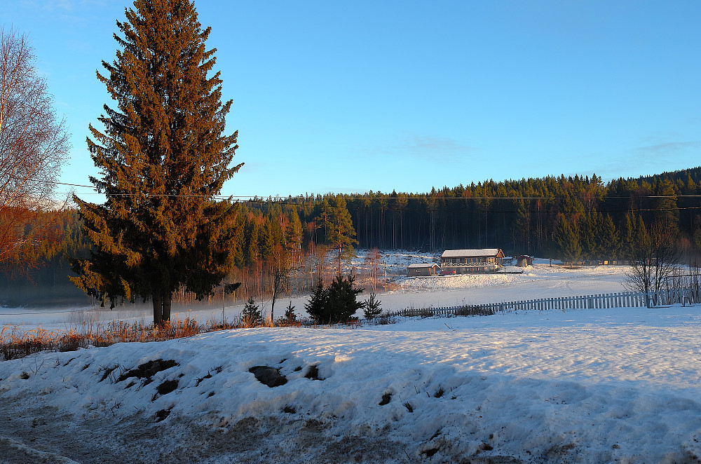 Morgentåka slipper taket