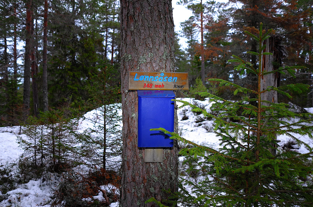 Populær trimtopp