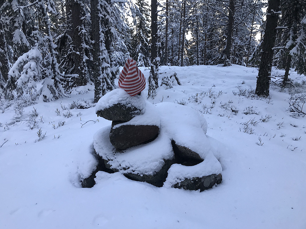 Høyeste punkt