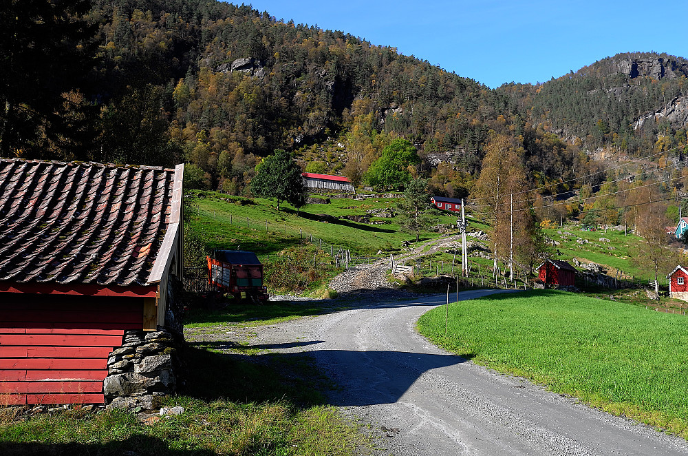 Kjølvik