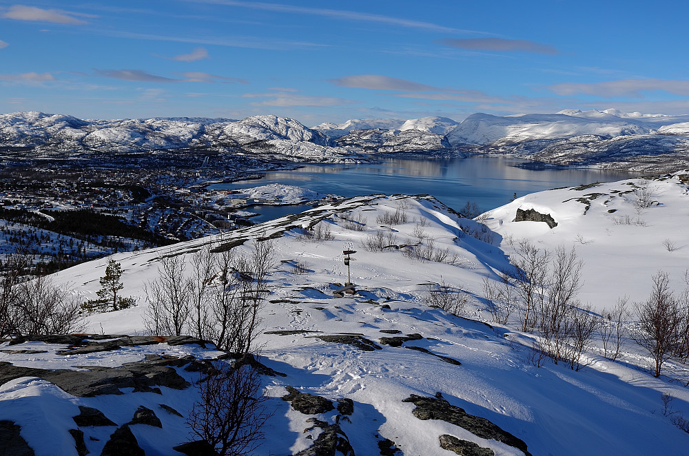 Alta