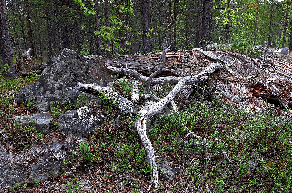 Krokfjelltoppen
