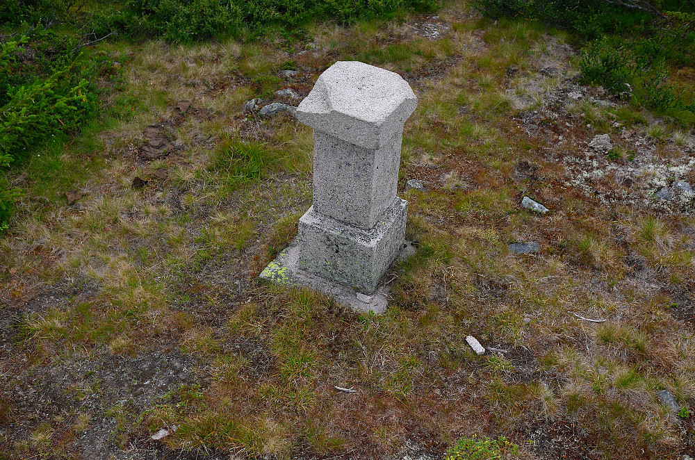 Basis Øst