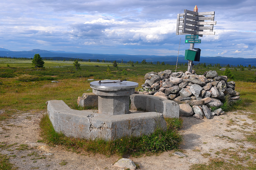 Gribbehaugen