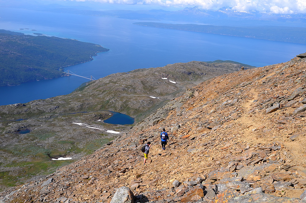 Skjombrua
