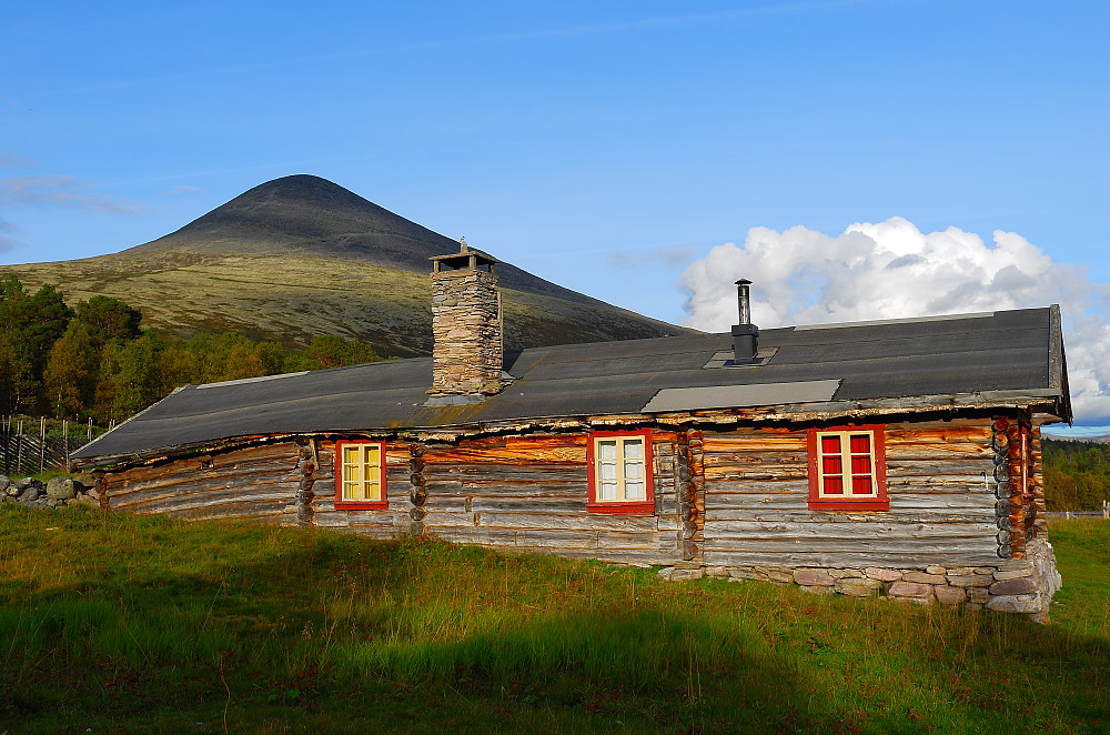 Ettermiddags idyll