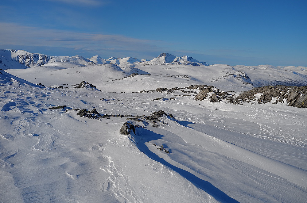 Snota