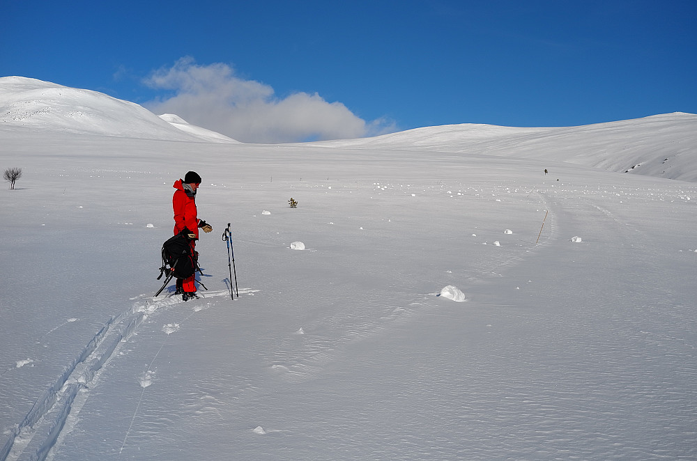 Gravskardbekkdalen