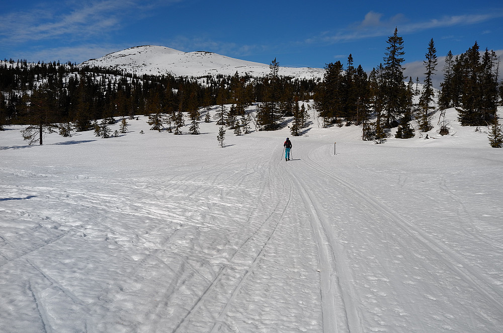 Fjelldalen