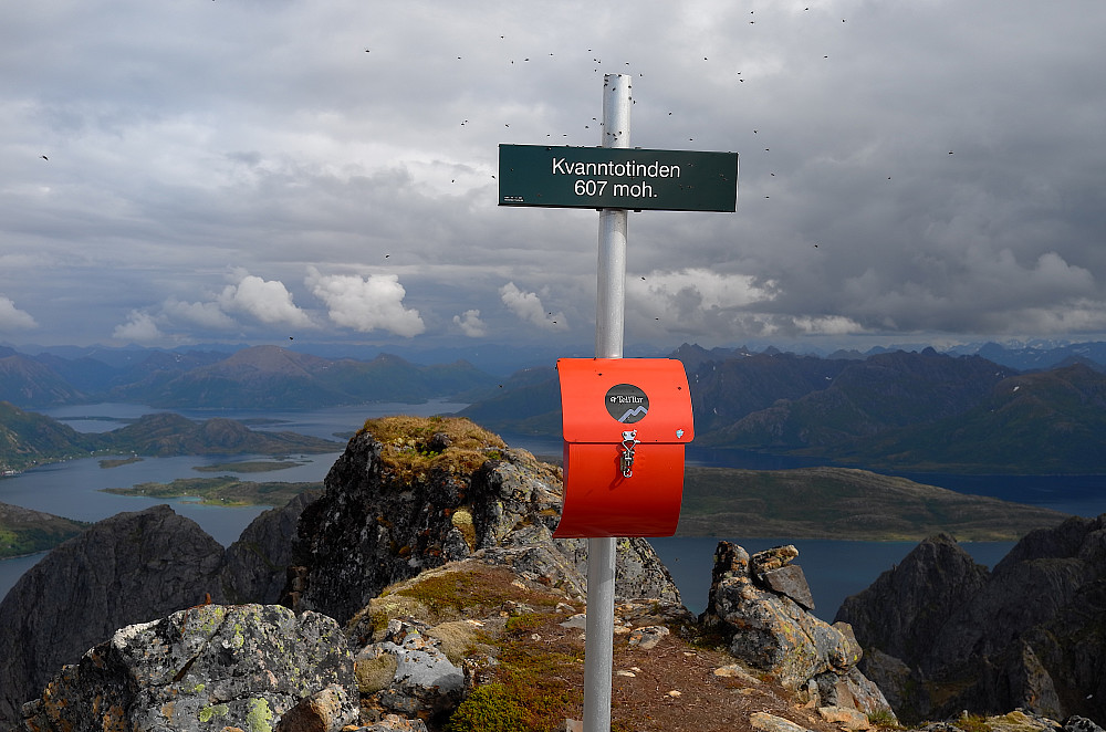 Fluesverm på toppen