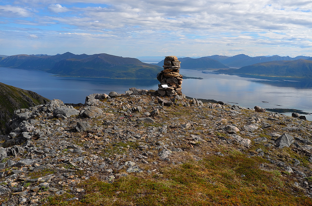 50-årsgaven