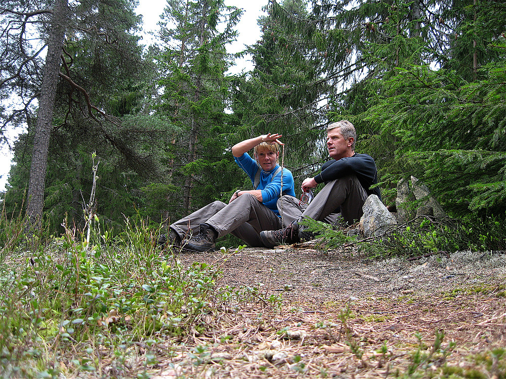 Kos i skauen