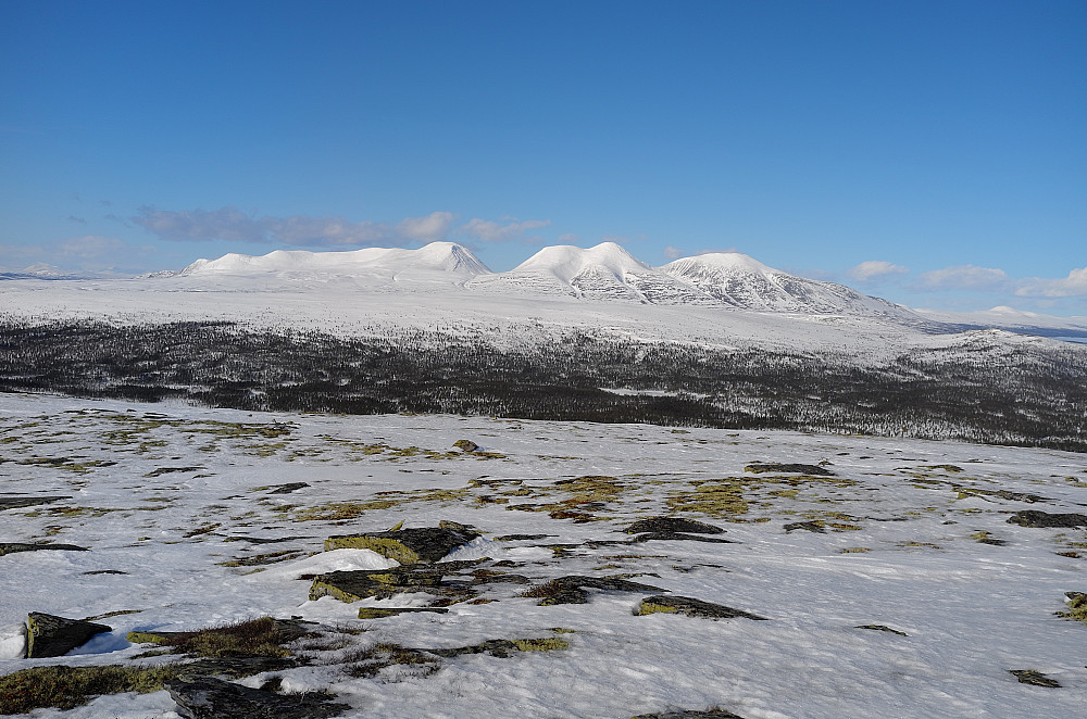 Rendalssølen