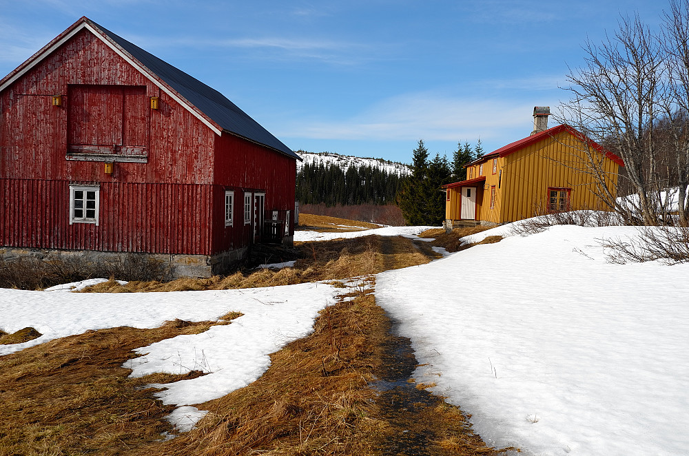 Bårdli