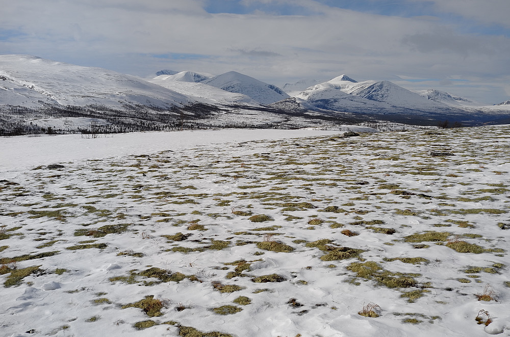 Rondane