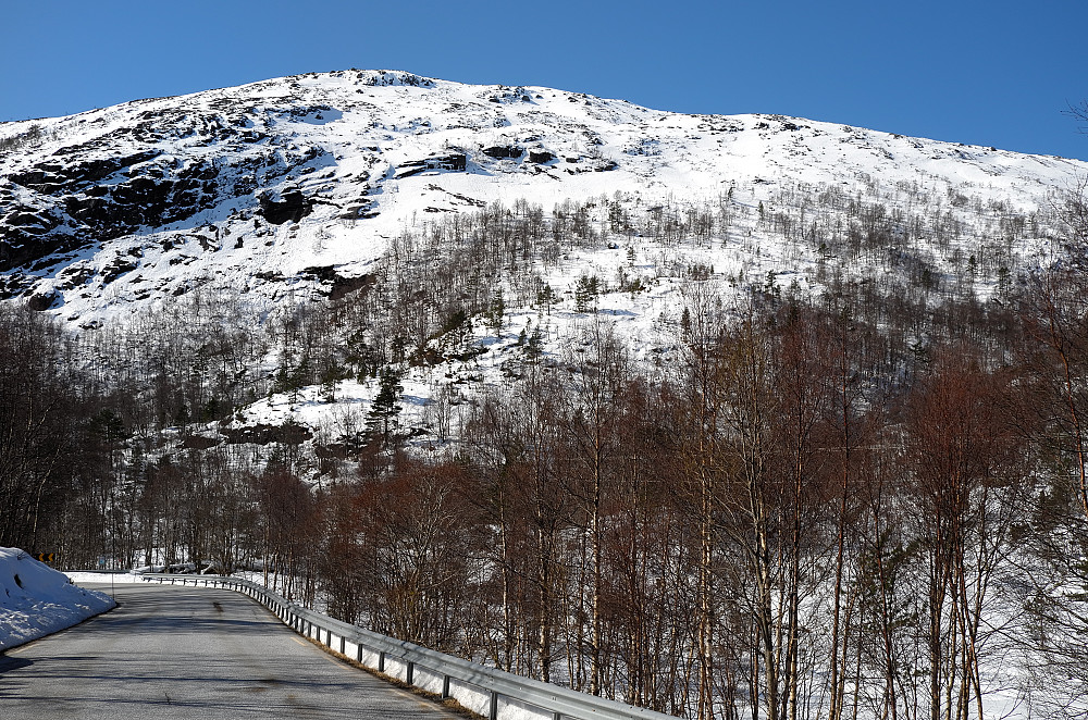 Lavikdalen