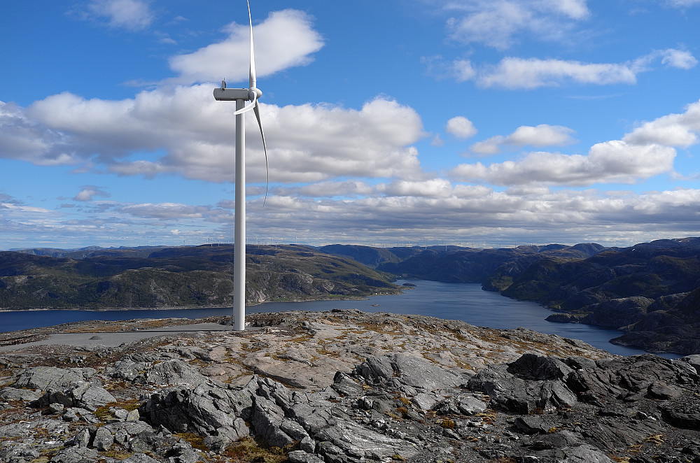 Skjørafjorden 