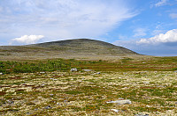 otto_265-flens.jpg