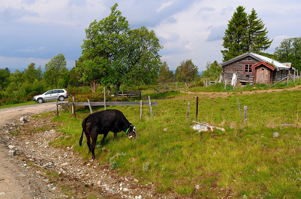 P-plassen ved Månvangan