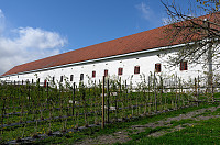otto_305-eiks.jpg