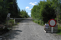otto_325-mels.jpg