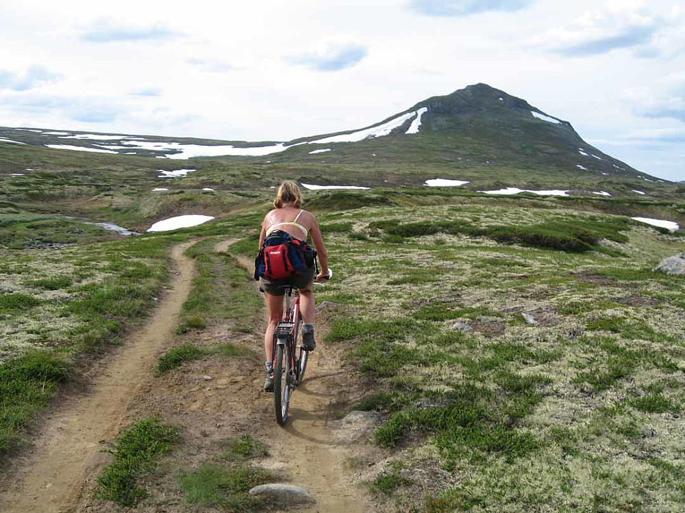 Ypperlig med sykkel
