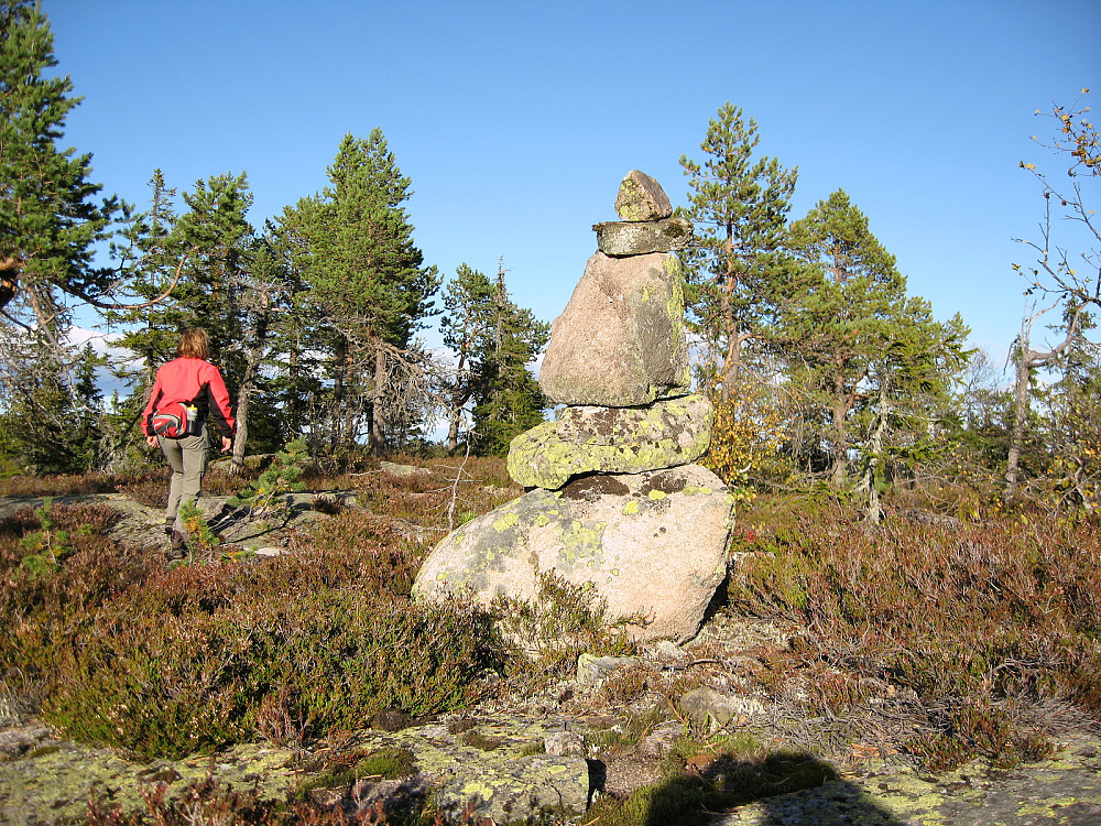 Bjørnkollen