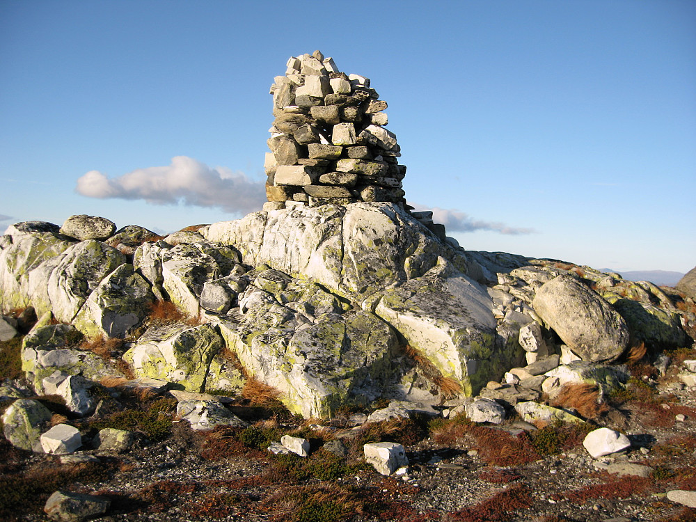 Storegrønut
