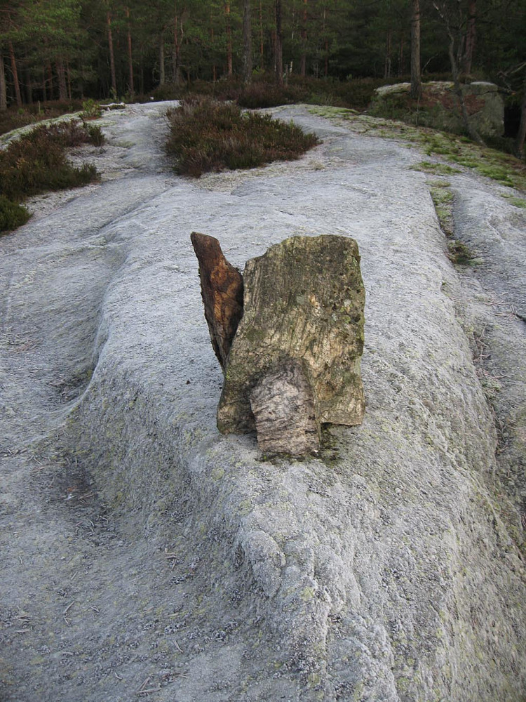 Høyåsen