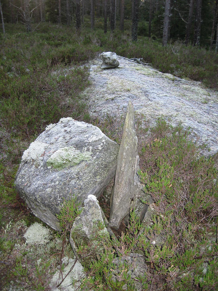 Kukollen