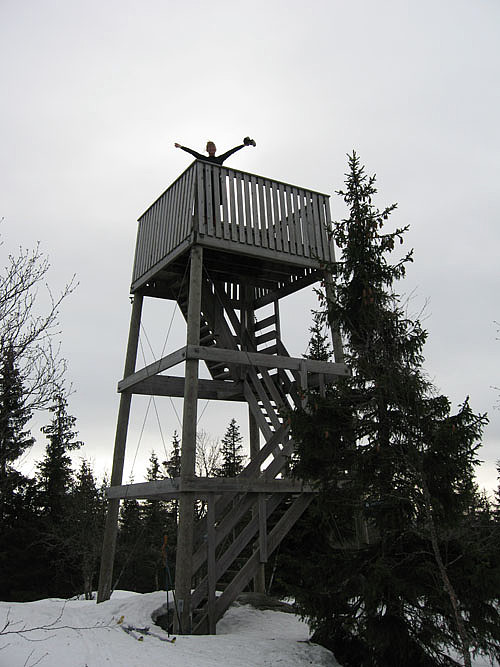 Svarttjernshøgda
