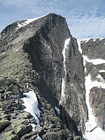 otto_img_0580.jpg
