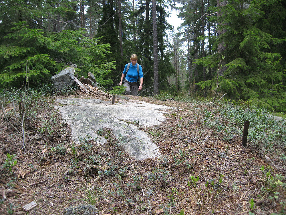Slavasshøgda