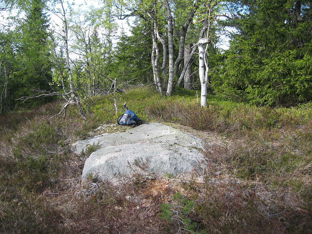 Annevasshøgda