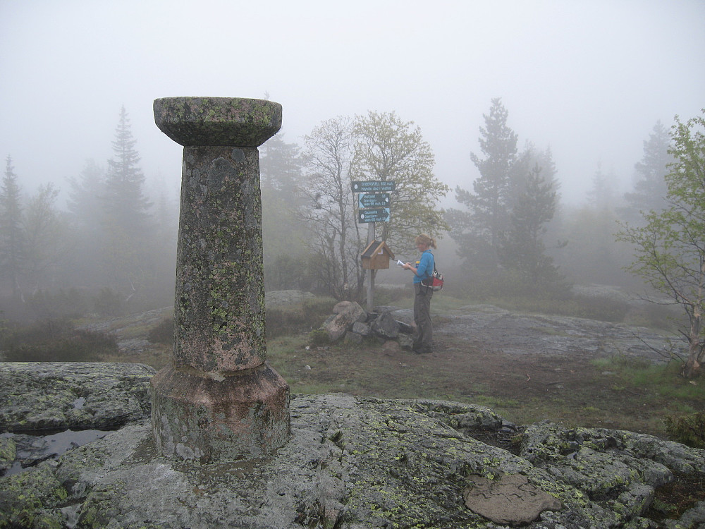 Skibergfjellet
