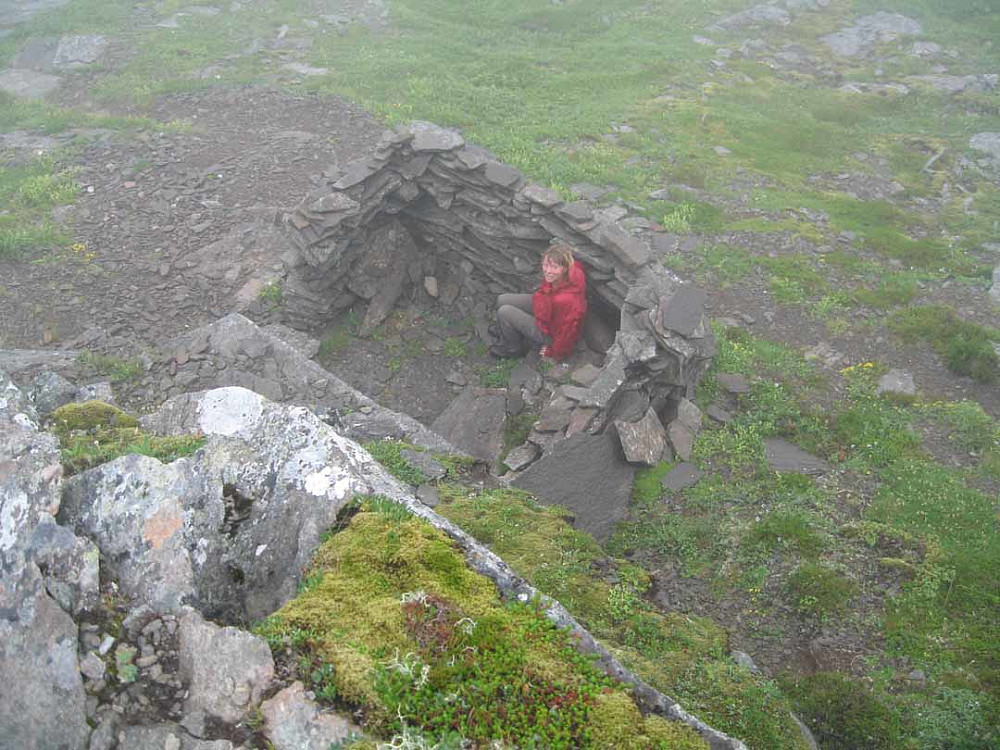 Hjelmen